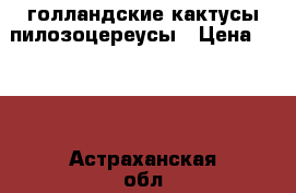 голландские кактусы пилозоцереусы › Цена ­ 100 - Астраханская обл., Астрахань г. Животные и растения » Услуги   